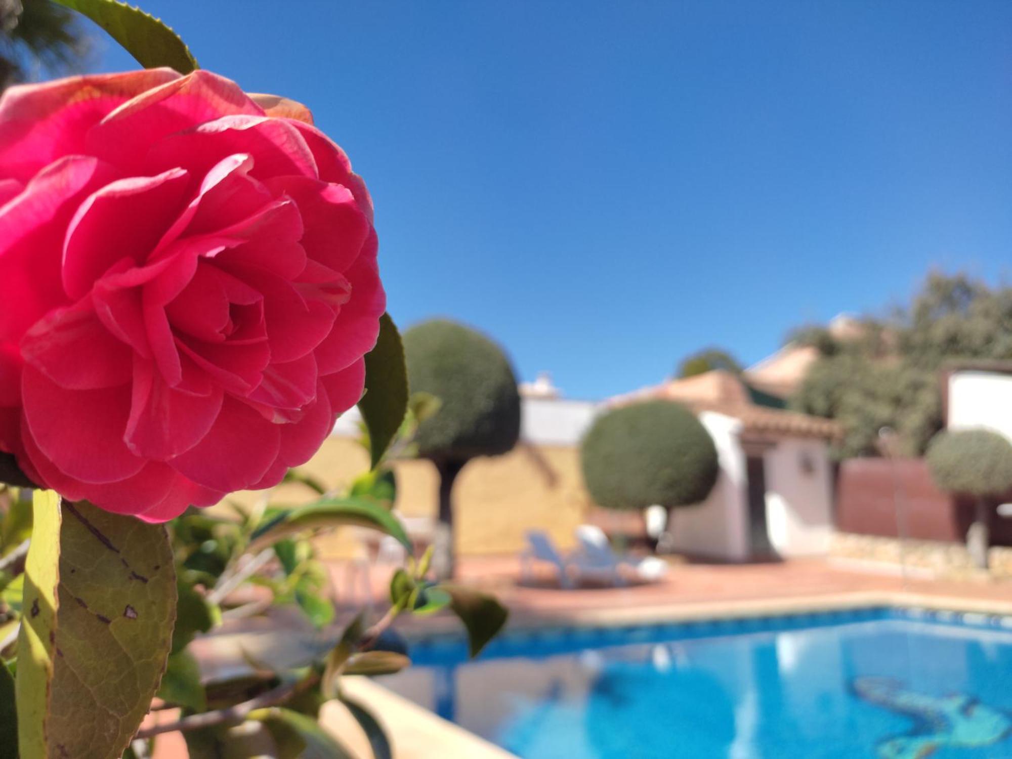 Casa Maleda Villa ออร์นาชวยโลส ภายนอก รูปภาพ